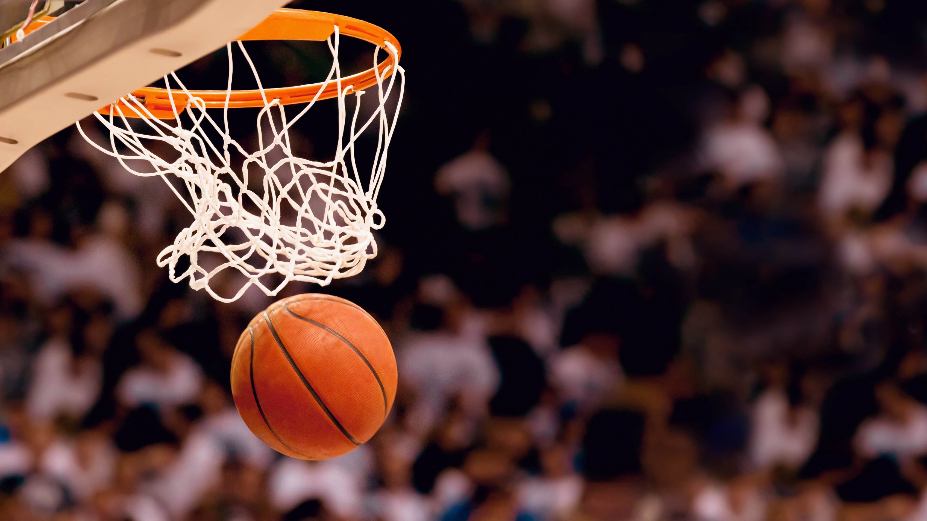 超越极限，德约科维奇的得分奇迹与掘金队的挑战之路